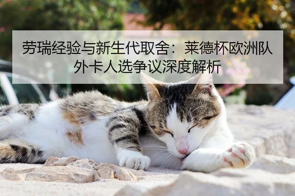 劳瑞经验与新生代取舍：莱德杯欧洲队外卡人选争议深度解析