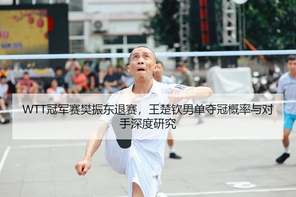 WTT冠军赛樊振东退赛，王楚钦男单夺冠概率与对手深度研究