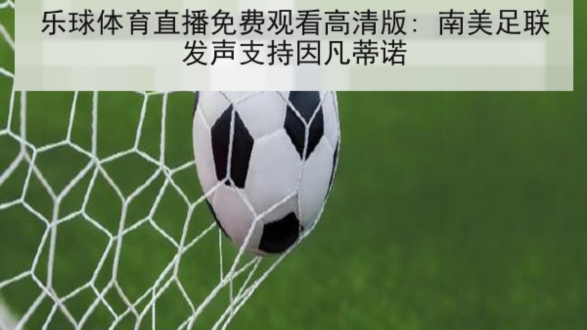 乐球体育直播免费观看高清版: 南美足联发声支持因凡蒂诺